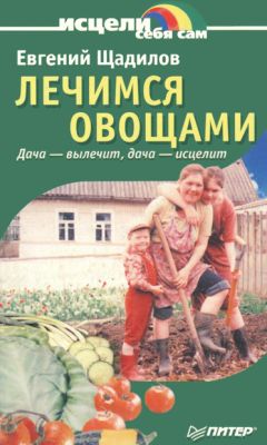 Евгений Щадилов - Лечимся овощами. Дача — вылечит, дача — исцелит - Читать | Читать онлайн | Читаемые книги читать онлайн бесплатно | booksread-online.com