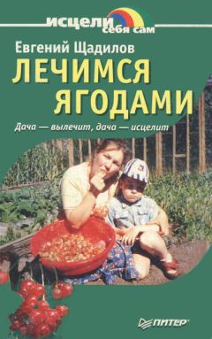 Евгений Щадилов - Лечимся ягодами. Дача — вылечит, дача — исцелит - Читать 📖 Читать онлайн 👀 Читаемые книги читать онлайн бесплатно 🔥 booksread-online.com