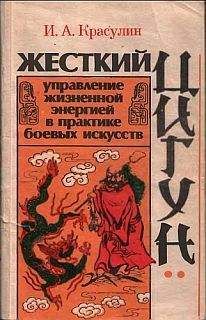 Игорь Красулин - Жесткий цигун: управление жизненной энергией в практике боевых искусств - Читать 📖 Читать онлайн 👀 Читаемые книги читать онлайн бесплатно 🔥 booksread-online.com