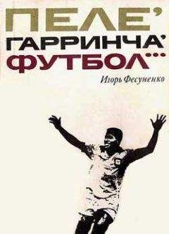 Игорь Фесуненко - Пеле, Гарринча, футбол… - Читать | Читать онлайн | Читаемые книги читать онлайн бесплатно | booksread-online.com