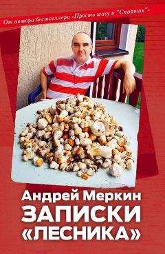 Андрей Меркин - Записки «лесника» - Читать 📖 Читать онлайн 👀 Читаемые книги читать онлайн бесплатно 🔥 booksread-online.com