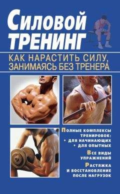 Тамара Руцкая - Силовой тренинг. Как нарастить силу, занимаясь без тренера - Читать 📖 Читать онлайн 👀 Читаемые книги читать онлайн бесплатно 🔥 booksread-online.com