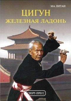 Ма Литан - Цигун &quot;Железная ладонь&quot;. Практическое руководство - Читать 📖 Читать онлайн 👀 Читаемые книги читать онлайн бесплатно 🔥 booksread-online.com