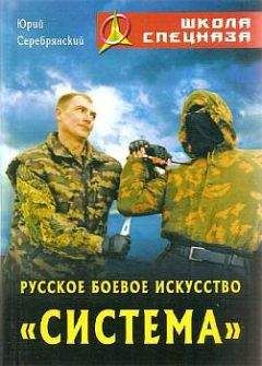 Юрий Серебрянский - Русское боевое искусство «Система» - Читать 📖 Читать онлайн 👀 Читаемые книги читать онлайн бесплатно 🔥 booksread-online.com