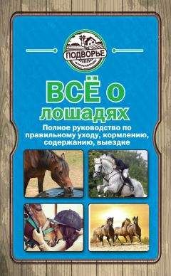 Игорь Скрипник - Все о лошадях. Полное руководство по правильному уходу, кормлению, содержанию, выездке - Читать 📖 Читать онлайн 👀 Читаемые книги читать онлайн бесплатно 🔥 booksread-online.com