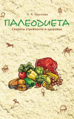 Наталья Круглова - Палеодиета. Секреты стройности и здоровья - Читать | Читать онлайн | Читаемые книги читать онлайн бесплатно | booksread-online.com