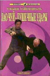 Чжанюань Ван - Паочуй-пушечные удары - Читать 📖 Читать онлайн 👀 Читаемые книги читать онлайн бесплатно 🔥 booksread-online.com