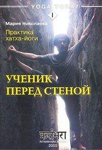 Мария Николаева - Практика хатха-йоги. Ученик перед стеной - Читать 📖 Читать онлайн 👀 Читаемые книги читать онлайн бесплатно 🔥 booksread-online.com