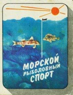 Николай Фетинов - Морской рыболовный спорт - Читать 📖 Читать онлайн 👀 Читаемые книги читать онлайн бесплатно 🔥 booksread-online.com
