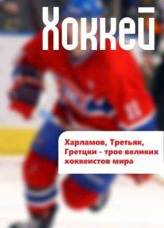 Илья Мельников - Харламов, Третьяк, Гретцки – трое великих хоккеистов мира - Читать 📖 Читать онлайн 👀 Читаемые книги читать онлайн бесплатно 🔥 booksread-online.com