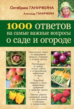 Октябрина Ганичкина - 1000 ответов на самые важные вопросы о саде и огороде - Читать 📖 Читать онлайн 👀 Читаемые книги читать онлайн бесплатно 🔥 booksread-online.com