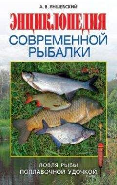 Андрей Яншевский - Энциклопедия современной рыбалки. Ловля рыбы поплавочной удочкой - Читать 📖 Читать онлайн 👀 Читаемые книги читать онлайн бесплатно 🔥 booksread-online.com