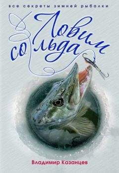 Владимир Казанцев - Ловим со льда. Все секреты зимней рыбалки - Читать 📖 Читать онлайн 👀 Читаемые книги читать онлайн бесплатно 🔥 booksread-online.com