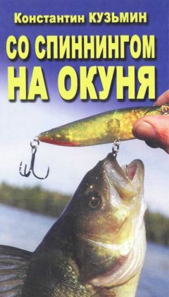 Константин Кузьмин - Со спинингом на окуня - Читать 📖 Читать онлайн 👀 Читаемые книги читать онлайн бесплатно 🔥 booksread-online.com