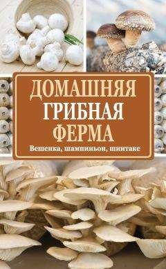 Нина Богданова - Домашняя грибная ферма. Вешенка, шампиньон, шиитаке - Читать 📖 Читать онлайн 👀 Читаемые книги читать онлайн бесплатно 🔥 booksread-online.com