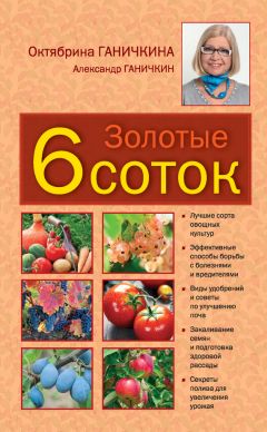 Октябрина Ганичкина - Золотые шесть соток - Читать 📖 Читать онлайн 👀 Читаемые книги читать онлайн бесплатно 🔥 booksread-online.com