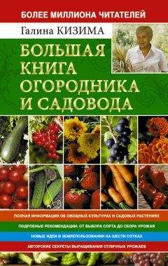Галина Кизима - Большая книга огородника и садовода. Все секреты плодородия - Читать | Читать онлайн | Читаемые книги читать онлайн бесплатно | booksread-online.com