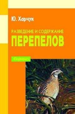 Юрий Харчук - Разведение и содержание перепелов - Читать 📖 Читать онлайн 👀 Читаемые книги читать онлайн бесплатно 🔥 booksread-online.com