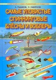 А. Пышков - Самые уловистые спиннинговые блесны и воблеры - Читать 📖 Читать онлайн 👀 Читаемые книги читать онлайн бесплатно 🔥 booksread-online.com