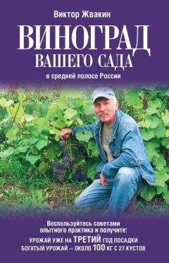 Виктор Жвакин - Виноград вашего сада в средней полосе России - Читать | Читать онлайн | Читаемые книги читать онлайн бесплатно | booksread-online.com