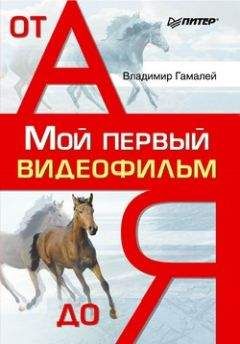 Владимир Гамалей - Мой первый видеофильм от А до Я - Читать 📖 Читать онлайн 👀 Читаемые книги читать онлайн бесплатно 🔥 booksread-online.com