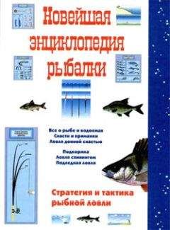 Сергей Сидоров - Новейшая энциклопедия рыбалки - Читать | Читать онлайн | Читаемые книги читать онлайн бесплатно | booksread-online.com