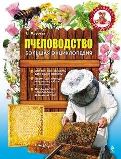В. Королев - Пчеловодство. Большая энциклопедия - Читать 📖 Читать онлайн 👀 Читаемые книги читать онлайн бесплатно 🔥 booksread-online.com