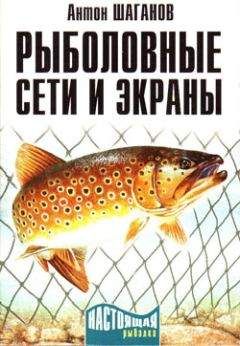 Антон Шаганов - Рыболовные сети и экраны - Читать 📖 Читать онлайн 👀 Читаемые книги читать онлайн бесплатно 🔥 booksread-online.com