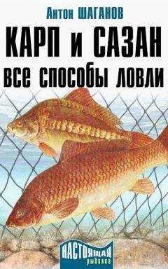Антон Шаганов - Карп и сазан. Все способы ловли - Читать 📖 Читать онлайн 👀 Читаемые книги читать онлайн бесплатно 🔥 booksread-online.com