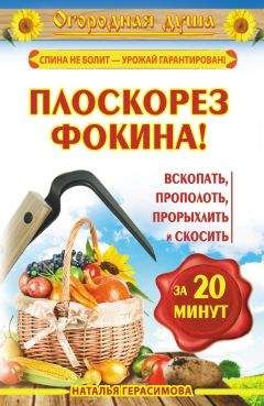 Наталья Герасимова - Плоскорез Фокина! Вскопать, прополоть, прорыхлить и скосить за 20 минут - Читать 📖 Читать онлайн 👀 Читаемые книги читать онлайн бесплатно 🔥 booksread-online.com