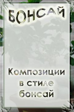 Илья Мельников - Композиции в стиле бонсай - Читать | Читать онлайн | Читаемые книги читать онлайн бесплатно | booksread-online.com