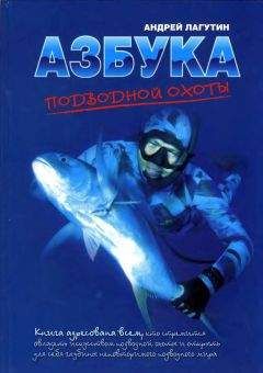 Андрей Лагутин - Азбука подводной охоты. Для начинающих... и не очень. - Читать 📖 Читать онлайн 👀 Читаемые книги читать онлайн бесплатно 🔥 booksread-online.com