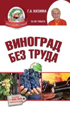 Галина Кизима - Виноград без труда - Читать 📖 Читать онлайн 👀 Читаемые книги читать онлайн бесплатно 🔥 booksread-online.com