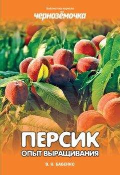 Владимир Бабенко - Персик. Опыт выращивания - Читать | Читать онлайн | Читаемые книги читать онлайн бесплатно | booksread-online.com