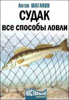 Антон Шаганов - Судак. Все способы ловли - Читать 📖 Читать онлайн 👀 Читаемые книги читать онлайн бесплатно 🔥 booksread-online.com