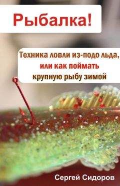 Сергей Сидоров - Техника ловли из-подо льда, или Как поймать крупную рыбу зимой - Читать | Читать онлайн | Читаемые книги читать онлайн бесплатно | booksread-online.com