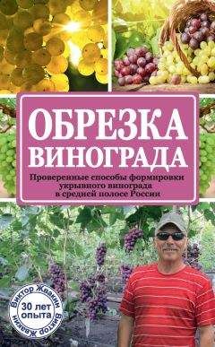 Виктор Жвакин - Обрезка винограда. Проверенные способы формировки укрывного винограда в средней полосе России - Читать 📖 Читать онлайн 👀 Читаемые книги читать онлайн бесплатно 🔥 booksread-online.com