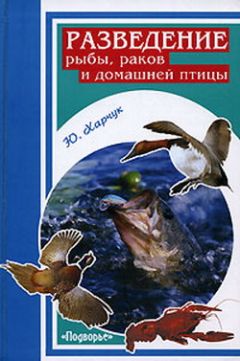 Юрий Харчук - Разведение рыбы, раков и домашней птицы - Читать 📖 Читать онлайн 👀 Читаемые книги читать онлайн бесплатно 🔥 booksread-online.com
