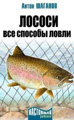 Антон Шаганов - Лососи. Все способы ловли - Читать 📖 Читать онлайн 👀 Читаемые книги читать онлайн бесплатно 🔥 booksread-online.com