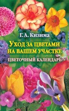 Галина Кизима - Уход за цветами на вашем участке. Цветочный календарь - Читать | Читать онлайн | Читаемые книги читать онлайн бесплатно | booksread-online.com