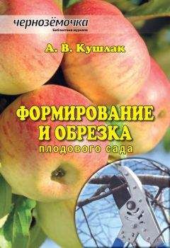 Алексей Кушлак - Формирование и обрезка плодового сада - Читать 📖 Читать онлайн 👀 Читаемые книги читать онлайн бесплатно 🔥 booksread-online.com