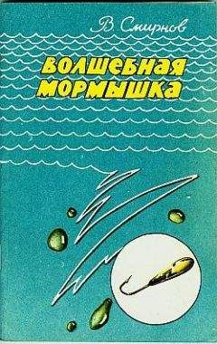 В. Смирнов - Волшебная мормышка - Читать 📖 Читать онлайн 👀 Читаемые книги читать онлайн бесплатно 🔥 booksread-online.com