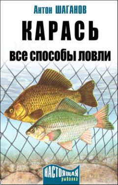 Антон Шаганов - Карась. Все способы ловли - Читать 📖 Читать онлайн 👀 Читаемые книги читать онлайн бесплатно 🔥 booksread-online.com