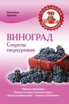Светлана Ларина - Виноград. Секреты сверхурожая - Читать 📖 Читать онлайн 👀 Читаемые книги читать онлайн бесплатно 🔥 booksread-online.com