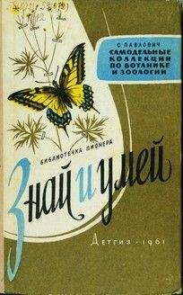 Сергей Павлович - Знай и умей. Самодельные коллекции по ботанике и зоологии - Читать | Читать онлайн | Читаемые книги читать онлайн бесплатно | booksread-online.com