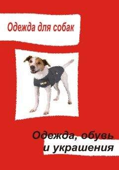 Илья Мельников - Одежда для собак. Одежда, обувь и украшения - Читать 📖 Читать онлайн 👀 Читаемые книги читать онлайн бесплатно 🔥 booksread-online.com