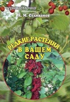 Александр Селиванов - Редкие растения в вашем саду - Читать 📖 Читать онлайн 👀 Читаемые книги читать онлайн бесплатно 🔥 booksread-online.com