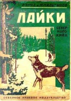 Александр Эмке - Лайки северного края - Читать 📖 Читать онлайн 👀 Читаемые книги читать онлайн бесплатно 🔥 booksread-online.com