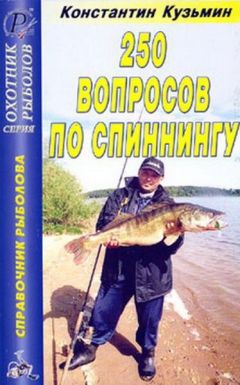 Константин Кузьмин - 250 вопросов по спиннингу. Справочник. - Читать 📖 Читать онлайн 👀 Читаемые книги читать онлайн бесплатно 🔥 booksread-online.com