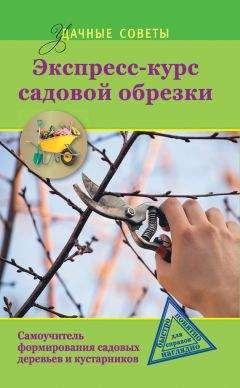 Ирина Окунева - Экспресс-курс садовой обрезки - Читать 📖 Читать онлайн 👀 Читаемые книги читать онлайн бесплатно 🔥 booksread-online.com